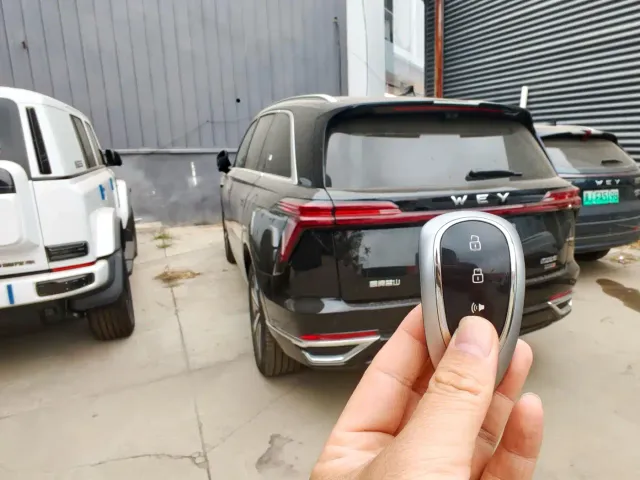 Wey Lanshan — Фото автомобиля 5