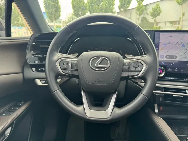 Lexus RX — Фото автомобиля 13