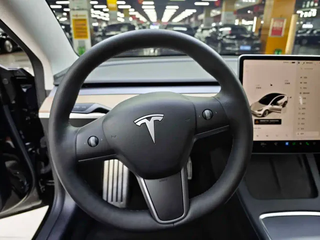Tesla Model 3 — Фото автомобиля 14