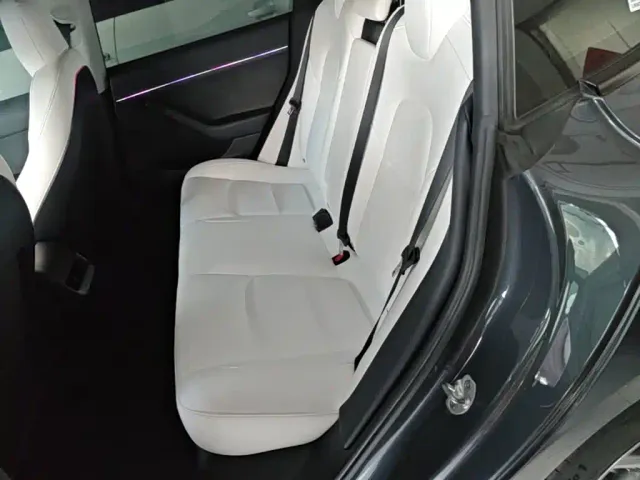 Tesla Model 3 — Фото автомобиля 16