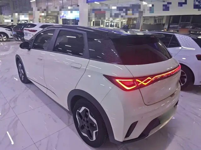 BYD Dolphin — Фото автомобиля 4
