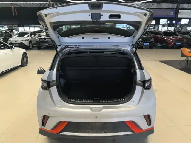 BYD Dolphin — Фото автомобиля 18