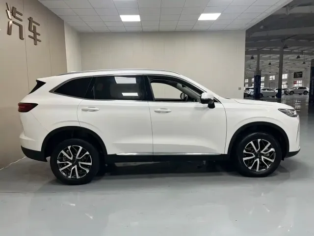 Haval Haval H6 2021 3rd Generation 1.5T Auto 2WD Max — Фото автомобиля 8