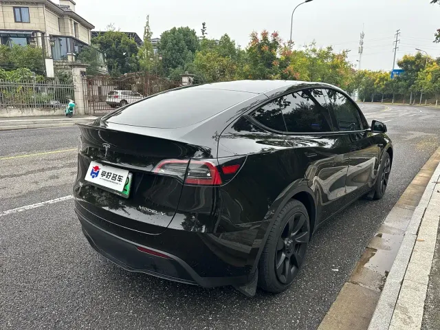 Tesla Model Y — Фото автомобиля 11