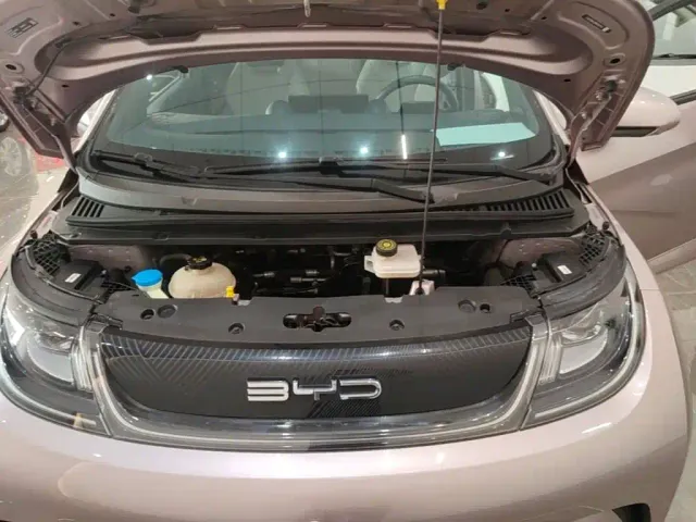 BYD Dolphin — Фото автомобиля 19