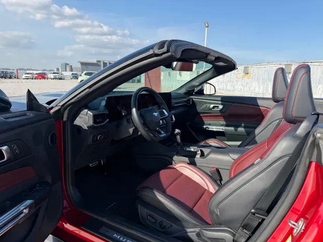 Ford Mustang — Фото автомобиля 23
