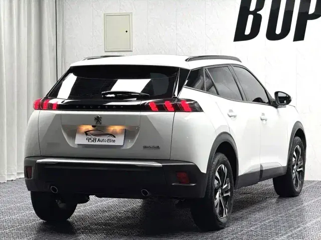 Peugeot 2008 — Фото автомобиля 11