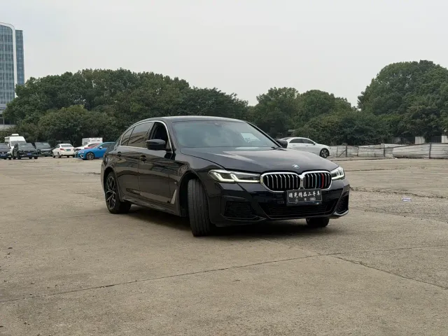 BMW 5 Series — Фото автомобиля 5