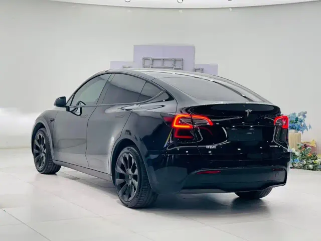 Tesla Model Y — Фото автомобиля 8
