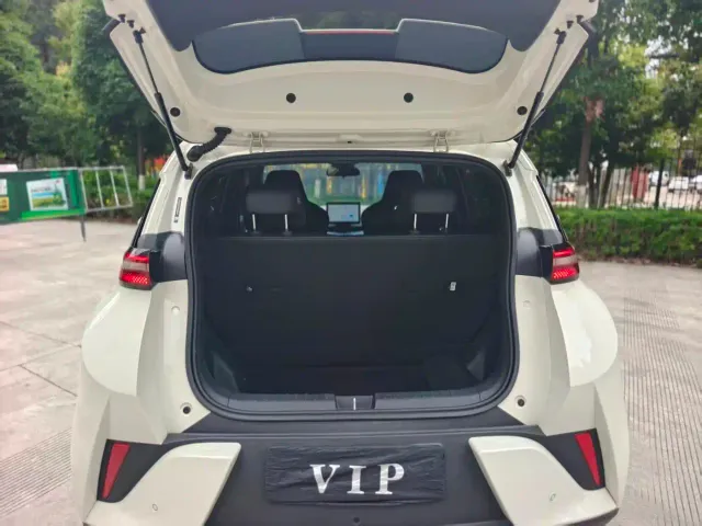BYD Seagull — Фото автомобиля 13