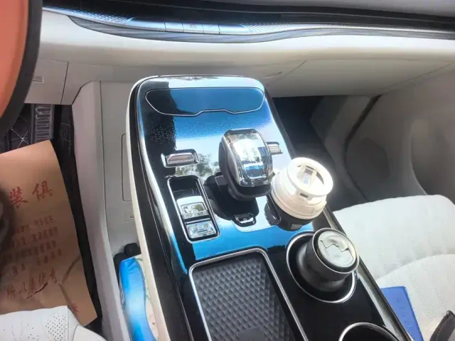Forthing Xinghai V9 — Фото автомобиля 16