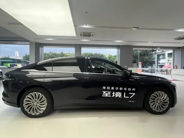 Buick Electra L7 — Фото автомобиля 4