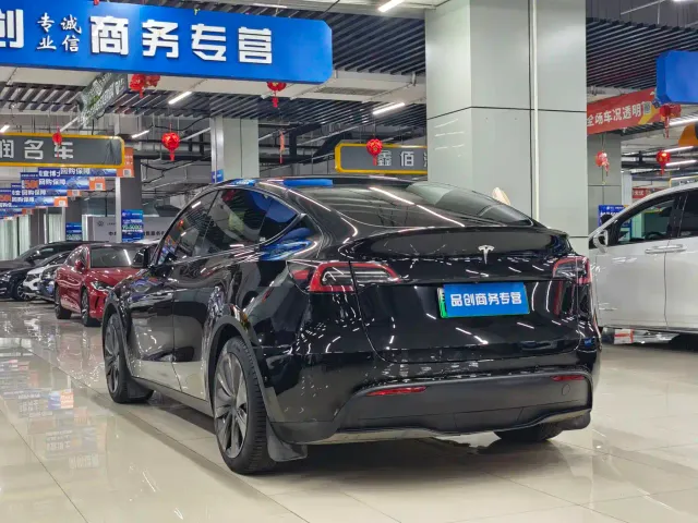 Tesla Model Y — Фото автомобиля 9