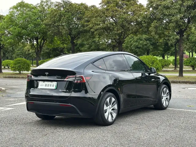 Tesla Model Y — Фото автомобиля 6