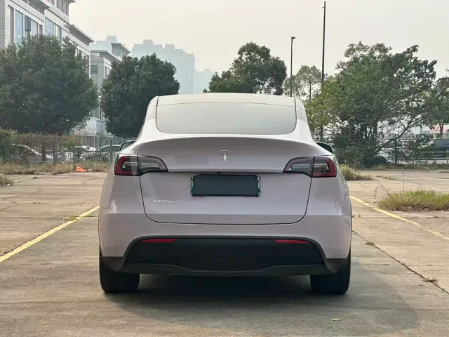 Tesla Model Y — Фото автомобиля 5