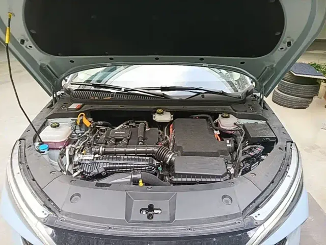BYD Qin L — Фото автомобиля 19