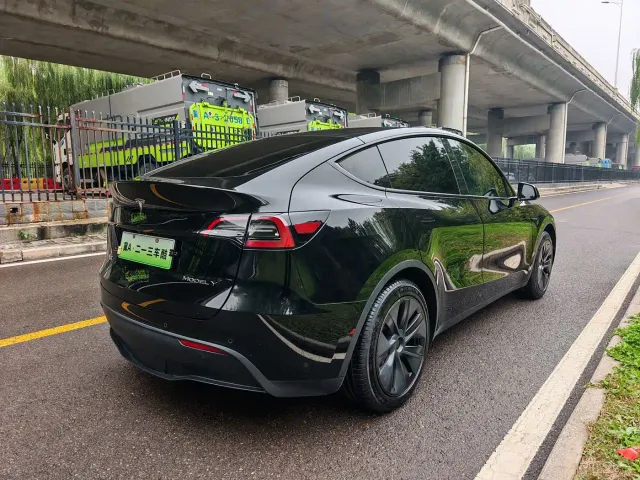 Tesla Model Y — Фото автомобиля 13