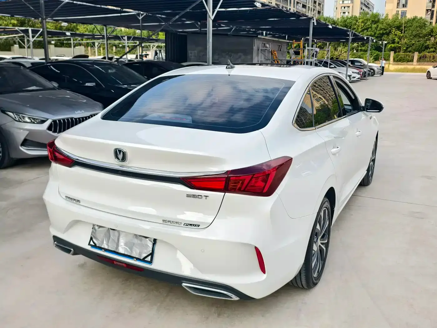 Changan Eado 2021 PLUS Blue Whale NE 1.4T GDI DCT Premium — Фото автомобиля 6