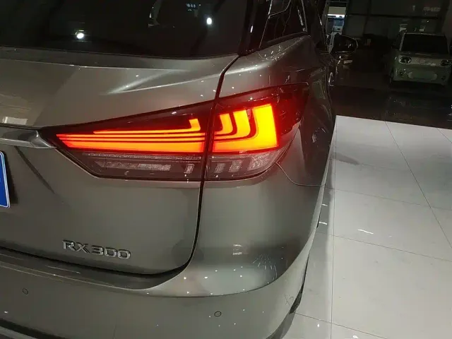 Lexus RX — Фото автомобиля 19