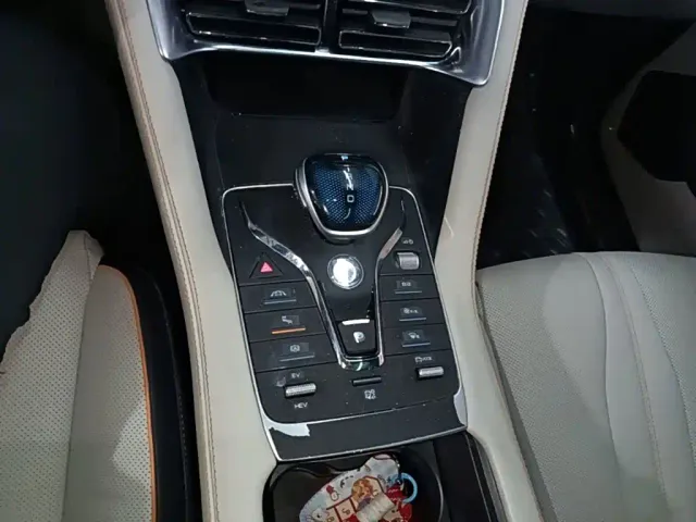 BYD Song PLUS — Фото автомобиля 13