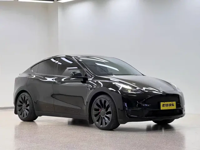 Tesla Model Y — Фото автомобиля 3