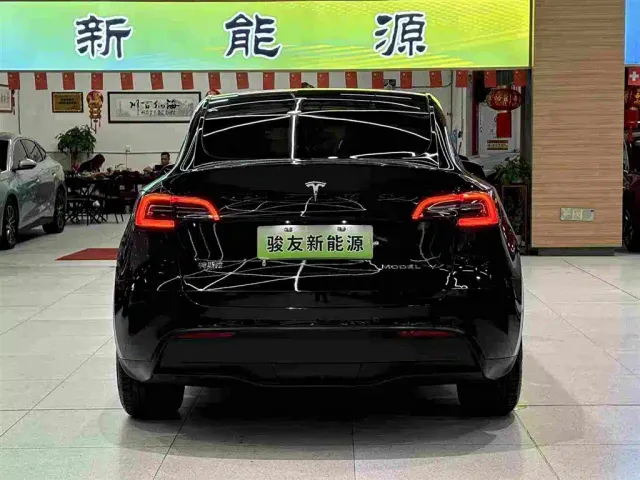 Tesla Model Y — Фото автомобиля 13