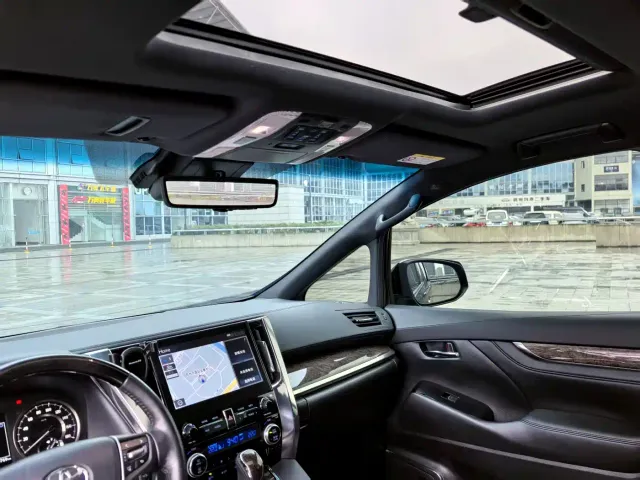 Toyota Alphard — Фото автомобиля 12