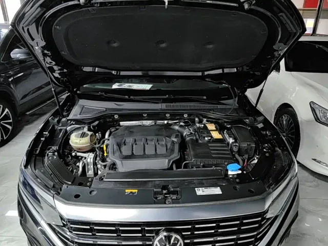 Volkswagen Passat — Фото автомобиля 19