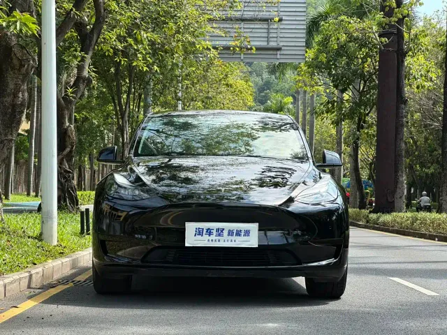 Tesla Model Y — Фото автомобиля 4