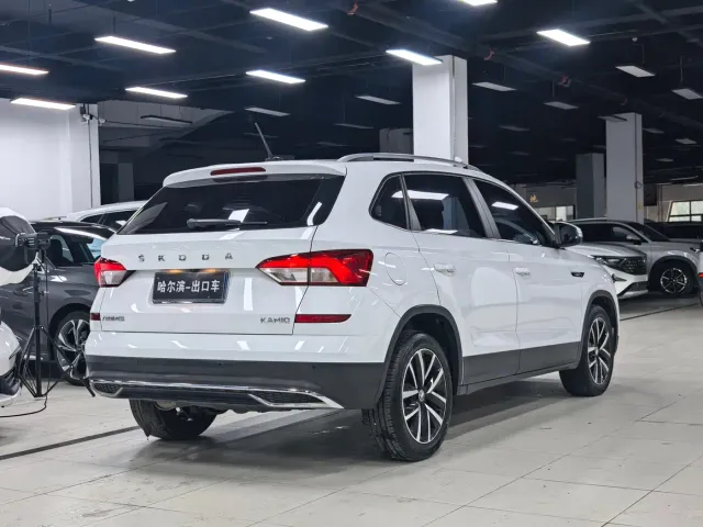 Skoda Kamiq — Фото автомобиля 24