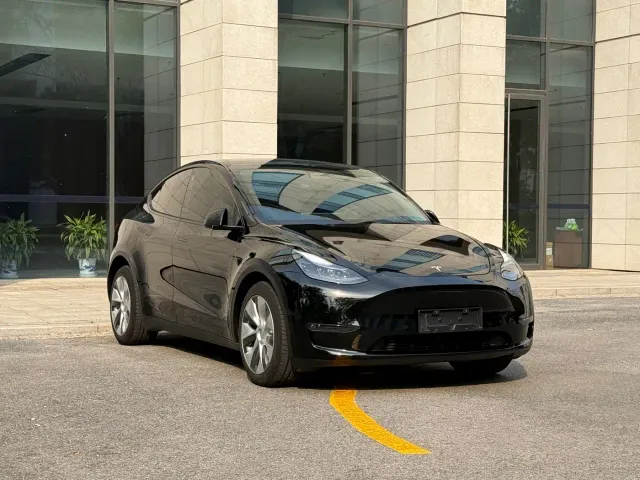 Tesla Model Y — Фото автомобиля 3