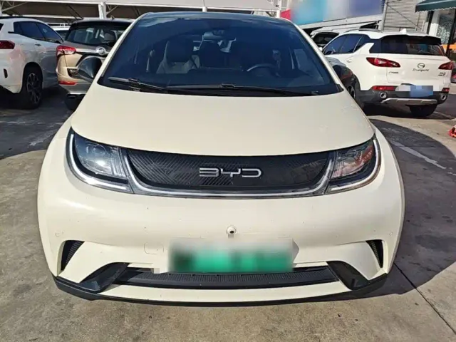 BYD Dolphin — Фото автомобиля 2
