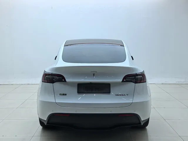 Tesla Model Y — Фото автомобиля 10