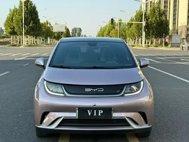 BYD Dolphin — Фото автомобиля 2