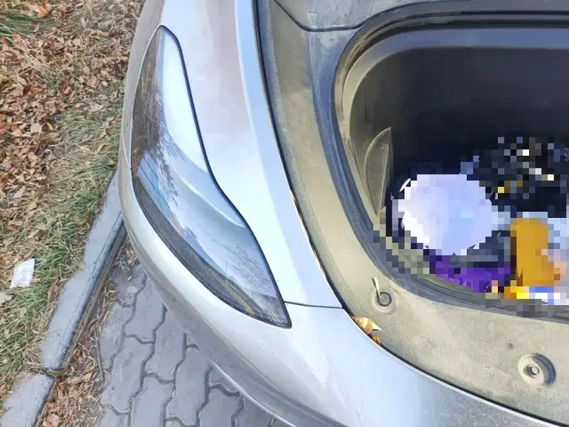 Tesla Model Y — Фото автомобиля 19