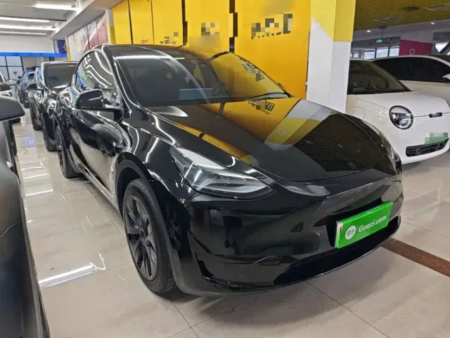 Tesla Model Y — Фото автомобиля 3