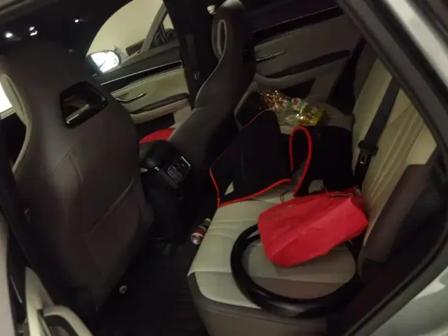 BYD Song PLUS — Фото автомобиля 11