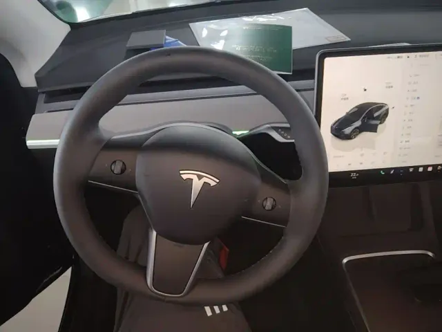 Tesla Model Y — Фото автомобиля 10
