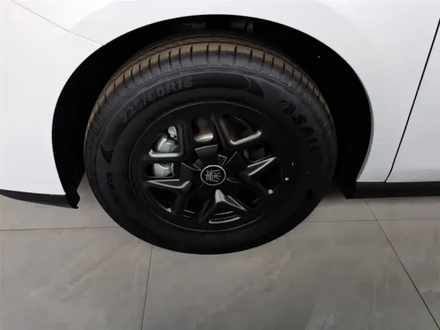 BYD Qin PLUS — Фото автомобиля 22