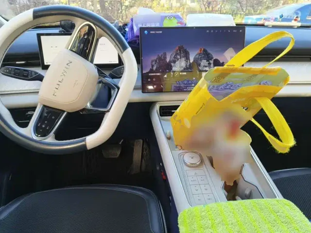 Chery Fulwin T9 — Фото автомобиля 5