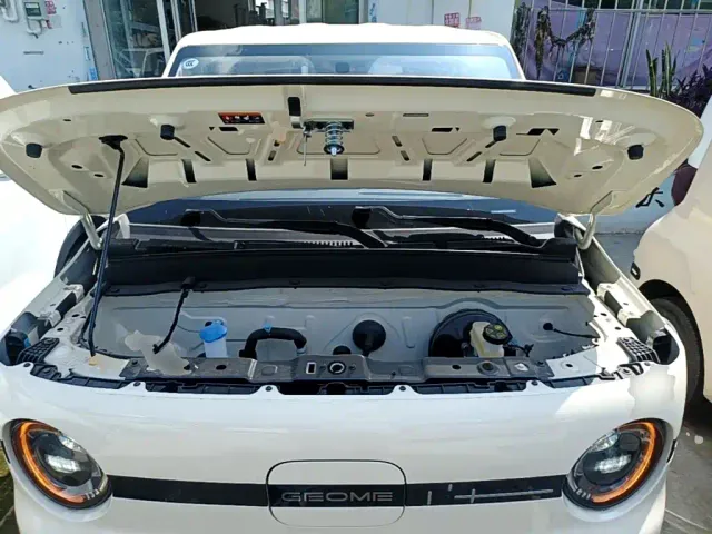 Geely Panda — Фото автомобиля 19