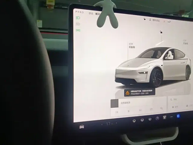 Tesla Model Y — Фото автомобиля 13