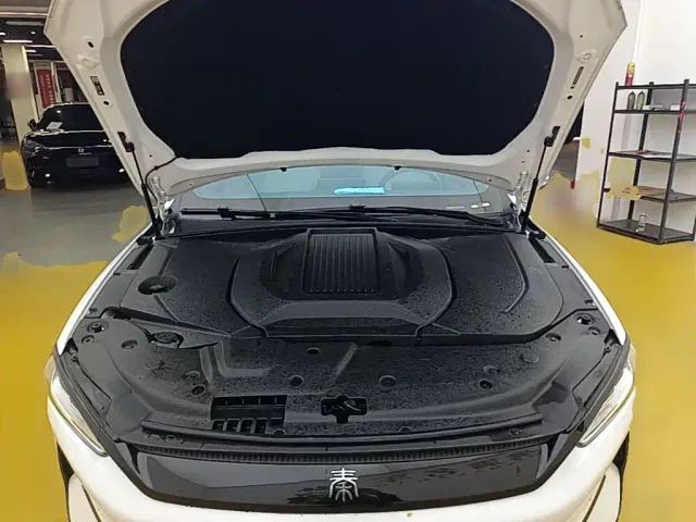 BYD Qin PLUS — Фото автомобиля 19