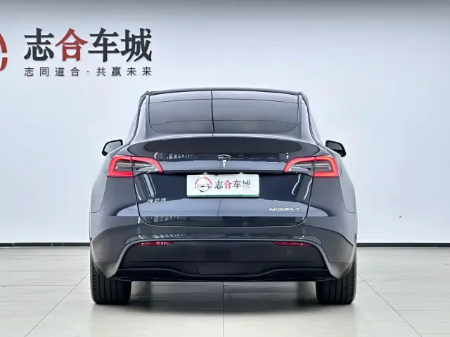 Tesla Model Y — Фото автомобиля 3