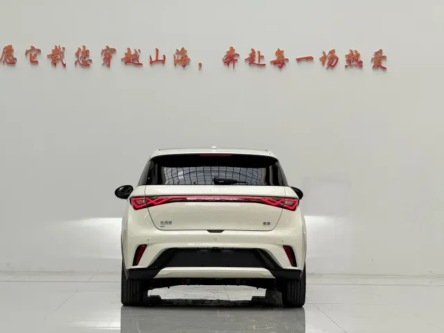 BYD Dolphin — Фото автомобиля 6
