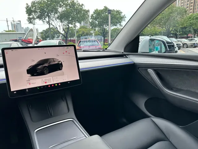 Tesla Model Y — Фото автомобиля 21