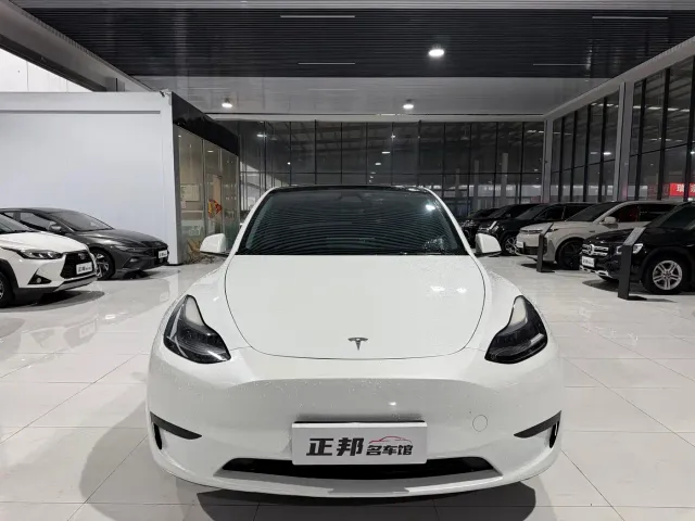 Tesla Model Y — Фото автомобиля 2