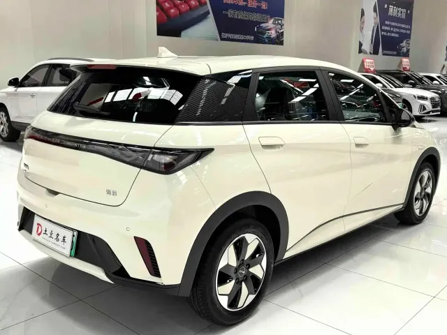 BYD Dolphin — Фото автомобиля 6