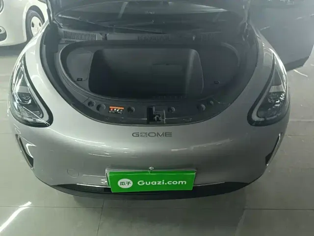 Geely Starry Wish — Фото автомобиля 19