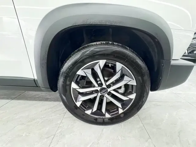 Haval Big Dog — Фото автомобиля 22